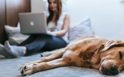 Overcoming Burnout in a Virtual Environment